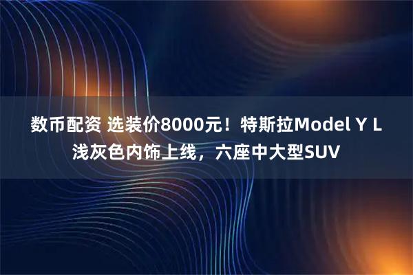 数币配资 选装价8000元！特斯拉Model Y L浅灰色内饰上线，六座中大型SUV